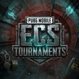 Telegram profile photo for ECS ORGANIZATION