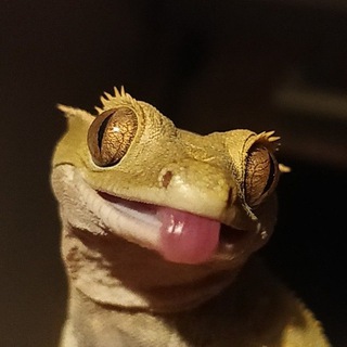 Telegram profile photo for КУИЛ