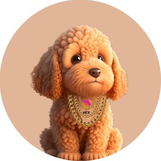 Telegram profile photo for RichAI - Official