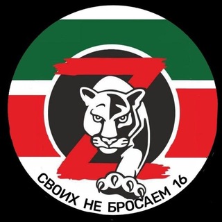 Telegram group profile photo for Своих не бросаем 16. Казань