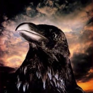Telegram profile photo for Agent 1561