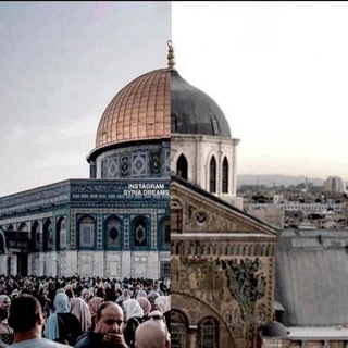 Telegram profile photo for مُعَاوِيَة الآمُوي𓂆