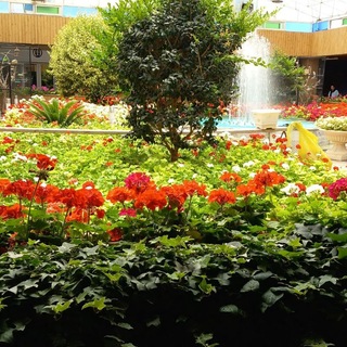 Telegram profile photo for 💐گلهای زیبای بهاری💐
