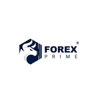 Telegram profile photo for FOREX PRIME