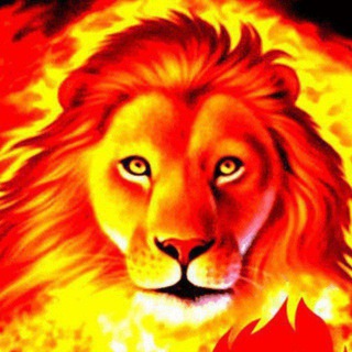 Telegram group profile photo for GOLD PRO SIGNAL
