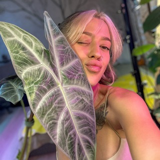 Telegram profile photo for Лола.stl 3д модели кашпо🪴