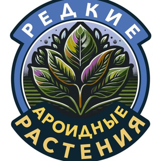 Telegram profile photo for Вариегаты | монстера, замиокулькас, филодендрон