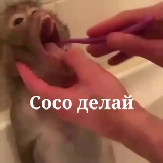 Telegram profile photo for Megatron епта