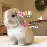 Telegram profile photo for cαfᧉyυkιι 🍒