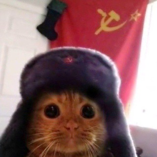 Telegram profile photo for Био СVята🇷🇺