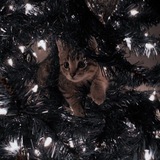 Telegram profile photo for ^🌲^новогодняя кафешка꒰⛄️꒱