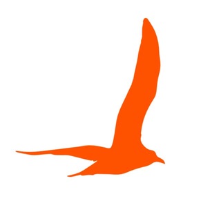 Telegram profile photo for ДОЛ «Чайка» г. Нижнекамск