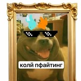 Telegram profile photo for койлшот блог пэрэходнэк