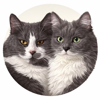 Telegram profile photo for Сила пуха
