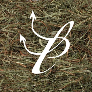 Telegram profile photo for Parc Lunàire