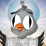 Telegram profile photo for суп из мха