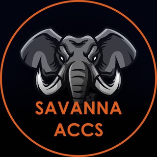 Telegram profile photo for Savanna Accs