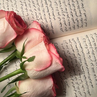 Telegram profile photo for Ayşe köşe