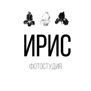 Telegram profile photo for Фотостудия Ирис