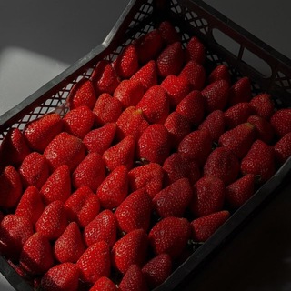 Telegram profile photo for Клубника 🍓 Новокуйбышевск