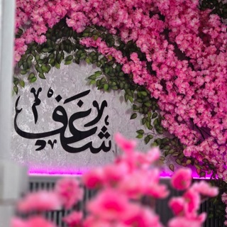 Telegram profile photo for 🤍🌸Shaghaf شغف