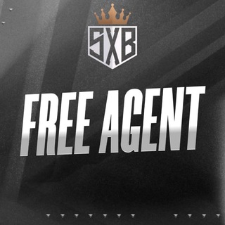Telegram profile photo for FREE AGENT (SXB)