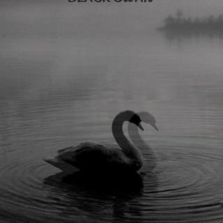 Telegram profile photo for Black sea...