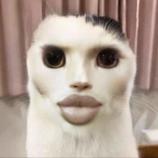 Telegram profile photo for отгрызыши рикти