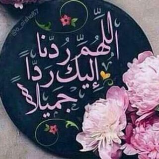 Telegram profile photo for 🌸فلنتعاهد على الجنة🌸🇵🇸