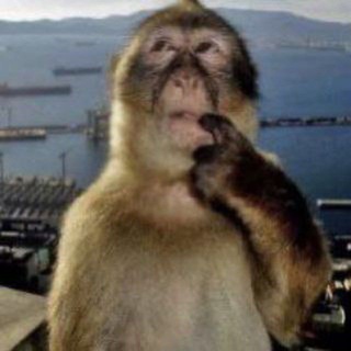 Telegram profile photo for ЛЮБЛЮ САБОВ ЛУЧШИЕ