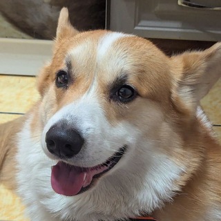 Telegram profile photo for Динар подмечает