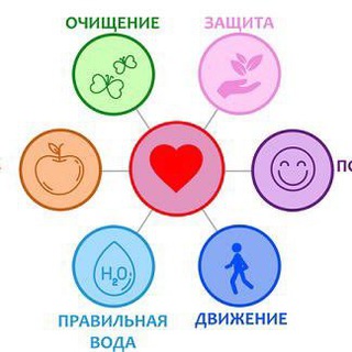 Telegram profile photo for Коловада плюс! Коловада лайт!