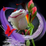 Telegram profile photo for چشمه جاری
