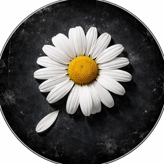 Telegram profile photo for G-DRAGON Archive πΌ (Fan Page)