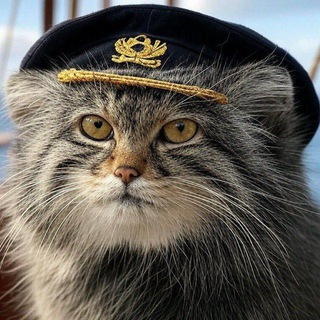 Telegram profile photo for maggiexoma | хомяк