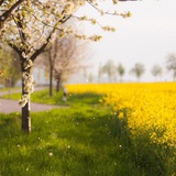 Telegram profile photo for بیشتر بمان