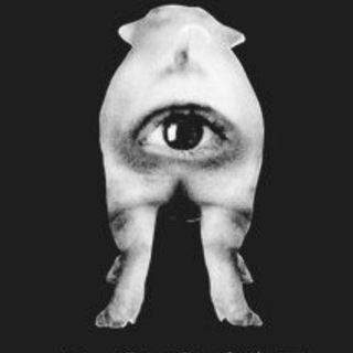 Telegram profile photo for Догма 95