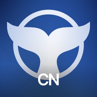 Telegram profile photo for Meta Whale🔥CN🇨🇳