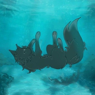 Telegram profile photo for ꕀʙ ᴏɜᴇᴩᴇ ᴄ ʍ϶йᴄᴏнᴏʍ𓆞💦