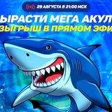 Telegram profile photo for Программа возвратных бонусов: Лояльность и страховка ставок для постоянных игроков