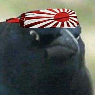 Telegram profile photo for Kagura's Shop