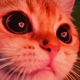 Telegram profile photo for Пруфы IsTeriKa
