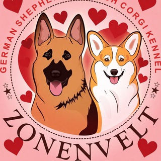 Telegram group profile photo for Зоненвельт питомник корги и немецких овчарок