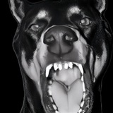 Telegram profile photo for π€ ββII. πππππππ ARCHIVE