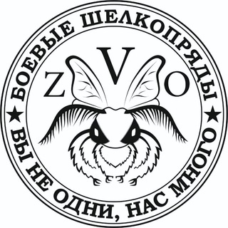 Telegram profile photo for Боевые Шелкопряды 🇷🇺 масксети