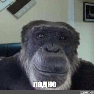 Telegram profile photo for Доходный Дом