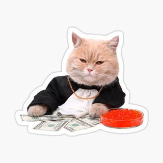 Telegram profile photo for CATPAYOFFICIAL⚔