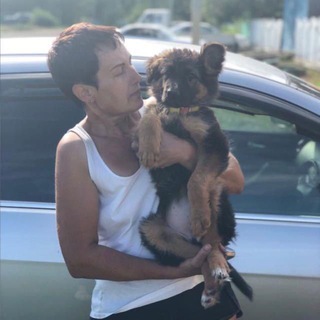 Telegram profile photo for О нас, приют Толстовка.😾🐶