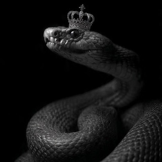 Telegram profile photo for 𝓚𝓸𝓫𝓻𝓪 𝓰𝓲𝓻𝓵𝓼🐍