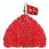Telegram profile photo for کربُ بّلا